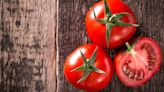 Tipos de tomate: saiba como diferenciar e quando usar cada um