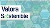 #ValoraSostenible | Reducción de emisiones y cuidado de la niñez: foco de las empresas