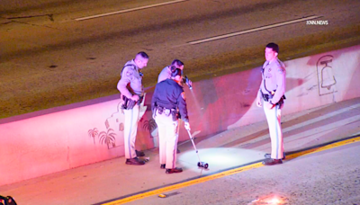 Driver flees after fatally striking pedestrian on 101 Freeway in Los Angeles