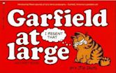 Garfield at Large