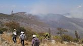 Se reactiva incendio forestal en la Reserva de la Biosfera en Tepelmeme, en la Mixteca de Oaxaca