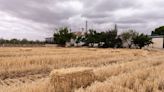 El detenido por asesinar a su pareja en Antequera pasará a disposición judicial este lunes