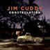 Constellation (Jim Cuddy album)