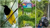 Jurong Bird Park to close on 3 January ahead of move to Mandai