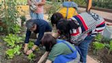世界都市農夫日 綠美學輔導團帶領營造綠色生活