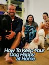 How To Keep Your Dog Happy at Home