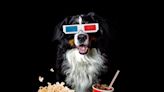 Help El Cajon break the world record for ‘Most Dogs to Attend a Film Screening’