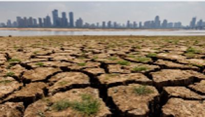 India’s climate crisis: Over 600 lives lost in 2024