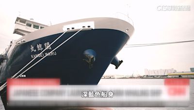 盼振興「吃鯨魚風氣」 日公司打造大型捕鯨船惹議