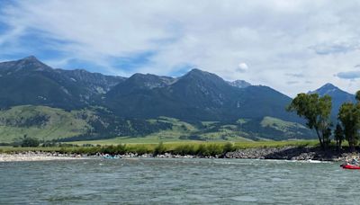 Laurel woman who drowned in Yellowstone River identified