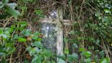 Woodland home abandoned for 40 years described as ‘in need of modernisation’