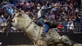 8 seconds or bust: Arizona Ridge Riders host pro bull riding event in Glendale