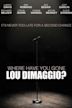 Where Have You Gone, Lou DiMaggio