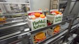 Lawmakers from Florida seek to change FDA rules for sugar levels in juice oranges