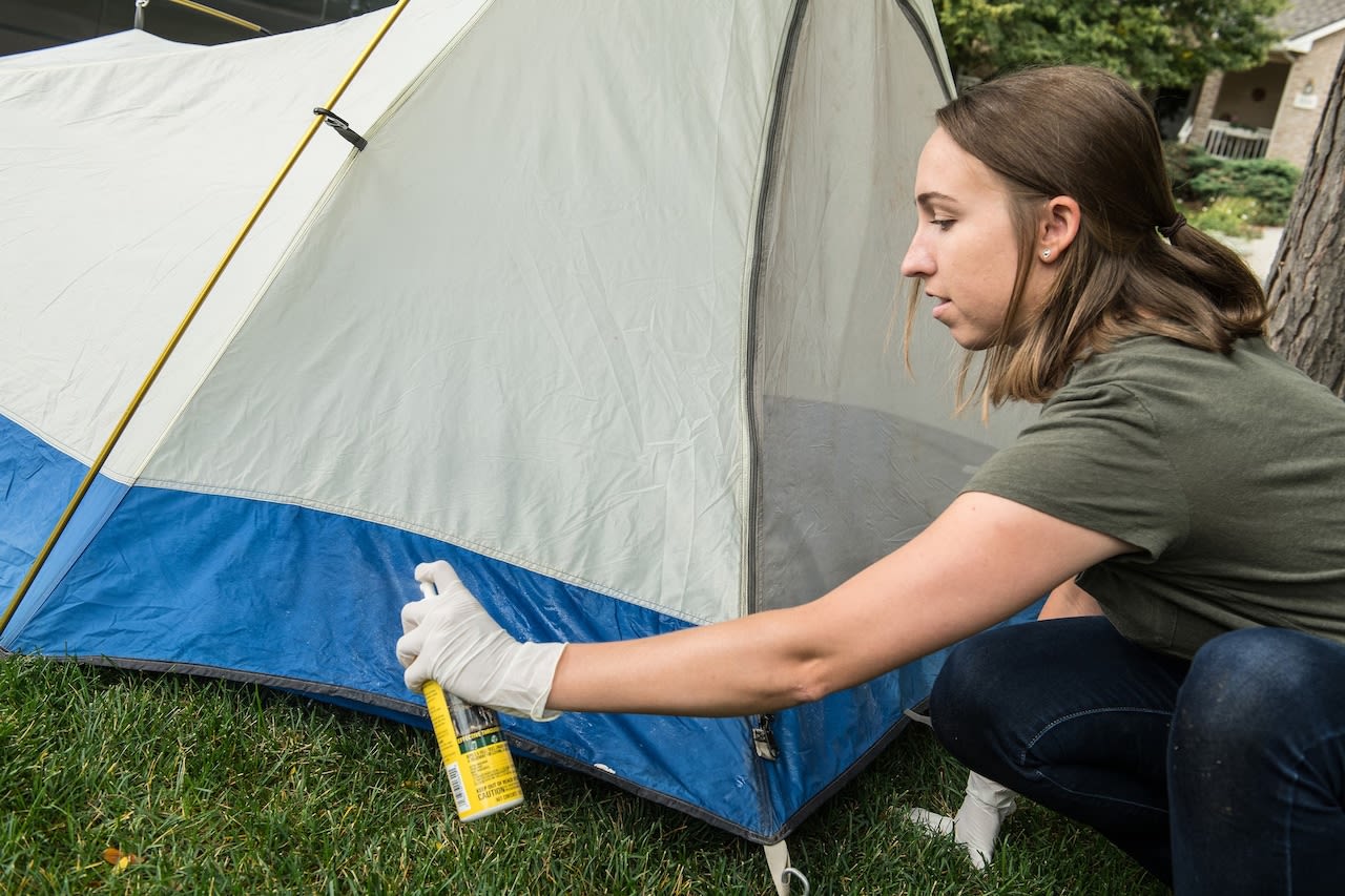 Tick season 2024: Here’s what you need to know for staying safe