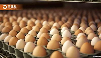 農業部爭議不斷！緊急進口雞蛋程序遭質疑 陳駿季強調合法性 | 蕃新聞