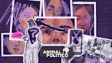 12 años de pistas e indicios de desapariciones y feminicidios vinculados a Miguel N, el feminicida de Iztacalco