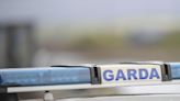 Search under way for occupants of car involved in hit and run in Laois
