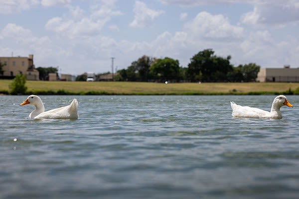 Will La Niña be weaker than expected? Here's what it would mean for Texas and its farmers | Texarkana Gazette