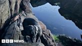 Dog missing for a week rescued on cliff edge in Highlands