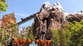 Disney World Guests Reportedly Stuck on Expedition Everest Coaster Incline for More Than 30 Minutes