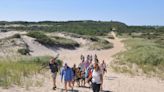 'Scapegoats for fisheries': North Truro guided seal walks meant to debunk misconceptions