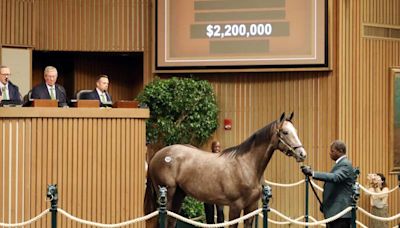 Keeneland September Sale Posts Strong Opening Day Results, Led By $2.2-Million Gun Runner Colt