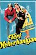 Teri Meherbaniyaan