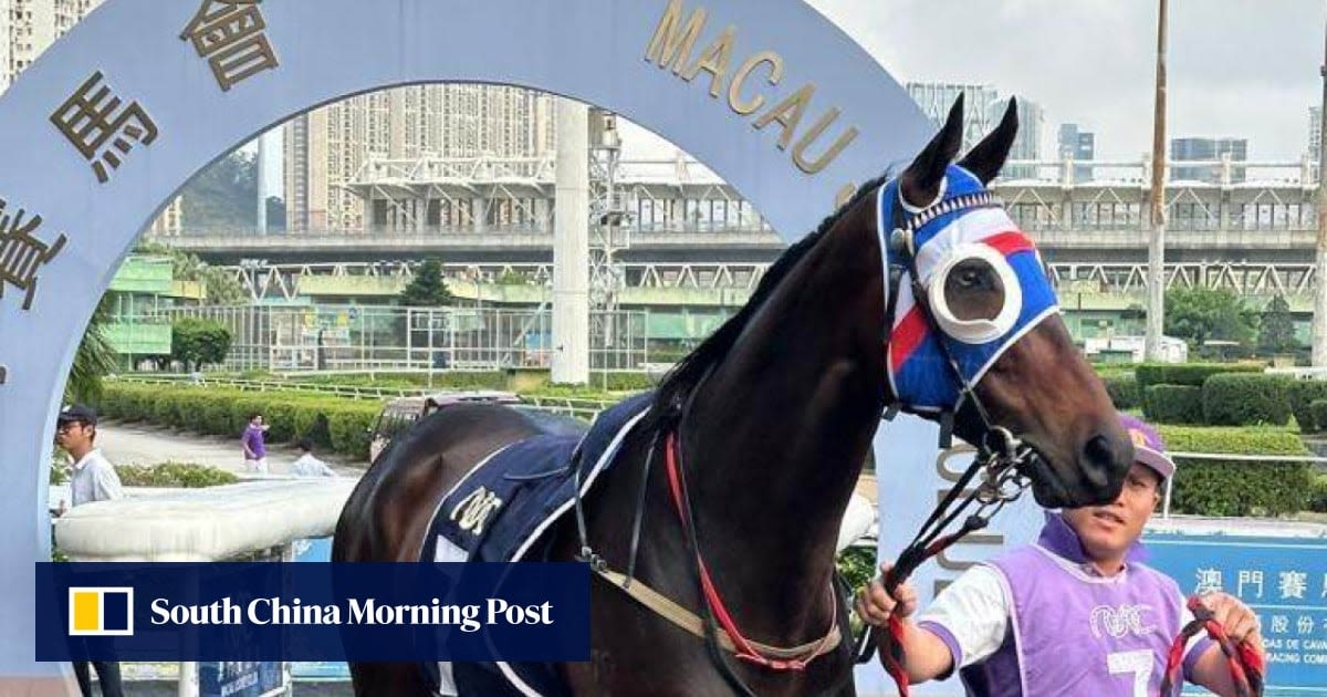 Macau horse owners hoping to race on Down Under in limbo: ‘We need to get him out’