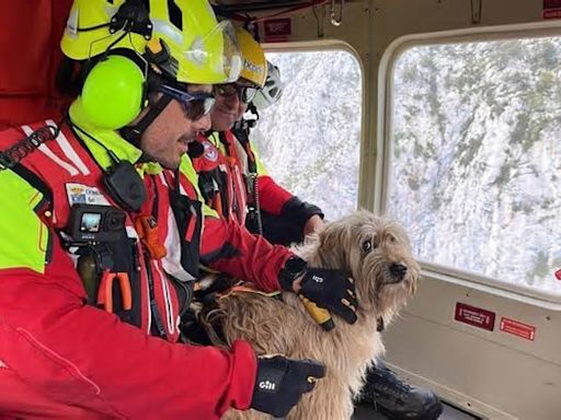 Rescatan en helicóptero a una perra que llevaba dos días atrapada en la montaña en Cantabria