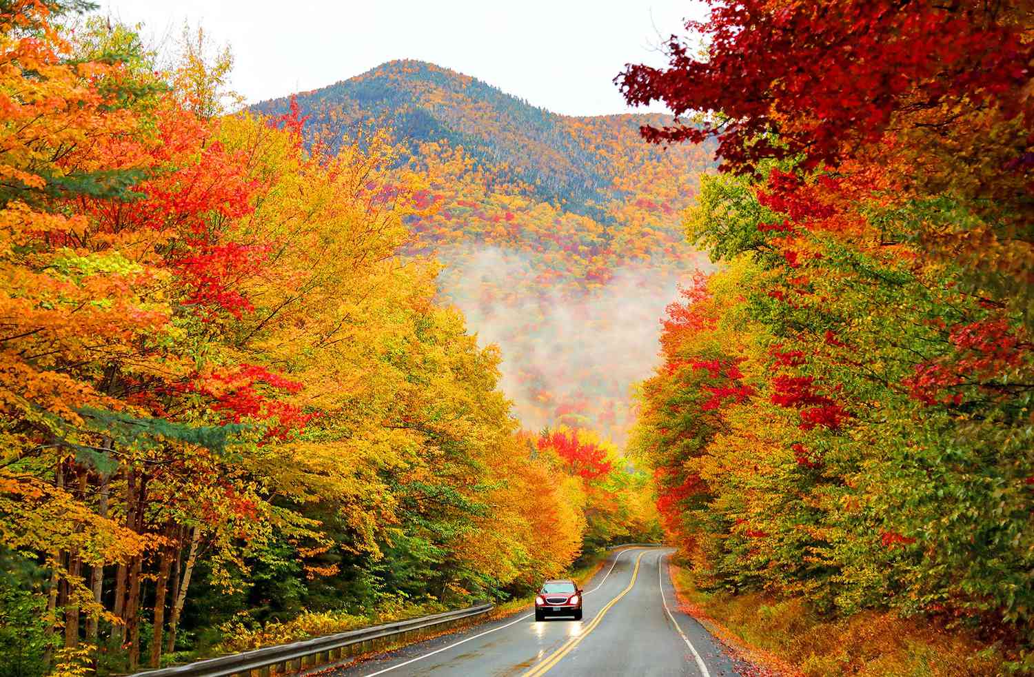 Can't Wait For Leaf Peeping Season? Here's a Look at the 2024 Fall Foliage Prediction Map