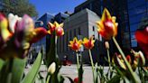 Bank of Canada cuts interest rate for first time in 4 years