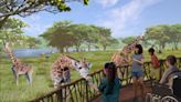 Saint Louis Zoo's new WildCare Park projected to generate $660M in economic activity in next 10 years, reports says