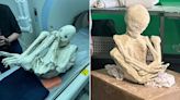'Múmias extraterrestres' peruanas passarão por nova análise de R$ 1,6 bi nos EUA