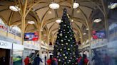 Flying with poinsettias, gingerbread frosting, and wrapped X-mas gifts: surprising TSA tips for holiday travel