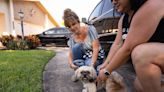 Manatee County free microchip program aims to put an end to lost pets, packed shelters