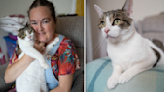 Hero cat saves owner’s life by pounding her paws on her chest during heart attack