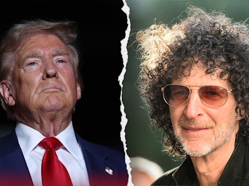 Howard Stern says he 'hates' anyone that votes for Trump: 'They are stupid, I have no respect for them'