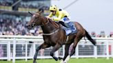 'He has a huge stride on him' - Betfair Sprint Cup aim for exciting Hackwood winner Elite Status