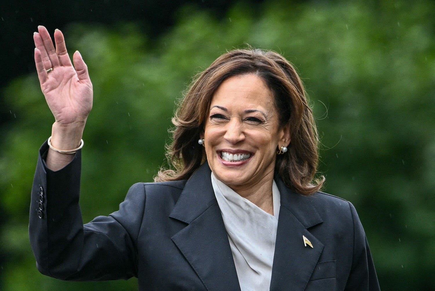 What the Kamala Harris 'coconut tree' meme is all about