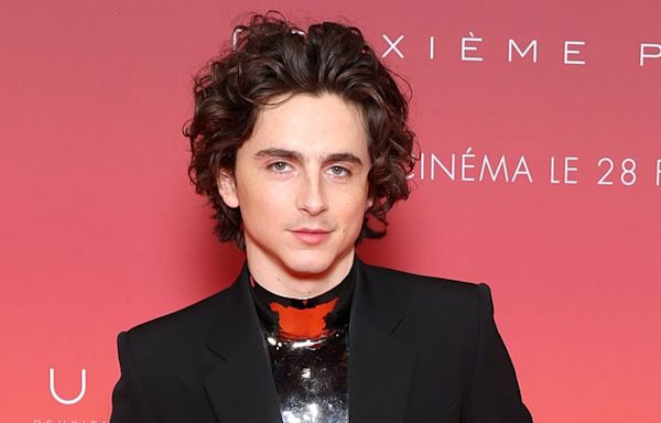 Timothee Chalamet Joins Forces With Martin Scorsese for Chanel Fragrance Commercial – Watch It Here!