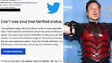 Elon Musk’s plan to charge for Twitter verification badge is already leading to phishing scams