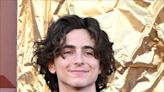 Timothée Chalamet Looks Like a Walking Chocolate Bar at the 'Wonka' Premiere