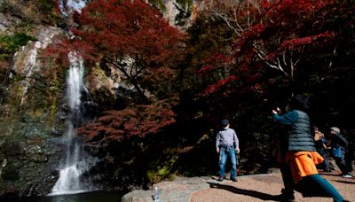 【太想聊日本】捨高求低日人流行爬「低山」 除有益健康、更適合這群人