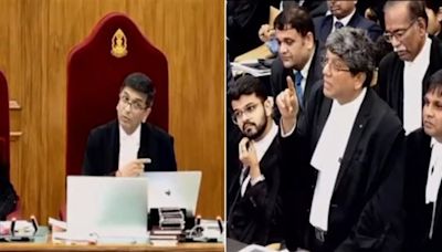 'Please call security': Sharp exchanges between CJI Chandchud and lawyer in SC during NEET hearing