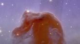 Horsehead Nebula should be renamed Cosmic Goose, says AI