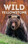 Wild Yellowstone