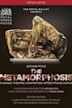 The Royal Ballet Presents the Metamorphosis