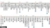 台北幹線公車北環幹線 後天起通車營運
