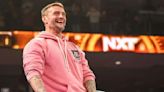 CM Punk Rumored To Stay In WWE Forever; In Process of Restructuring His Deal